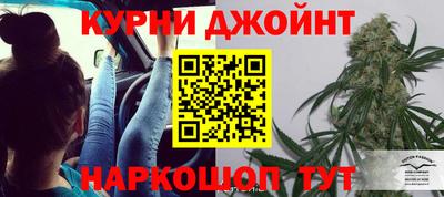 прущие крисы Будённовск