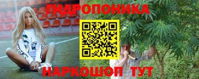 прущие крисы Будённовск