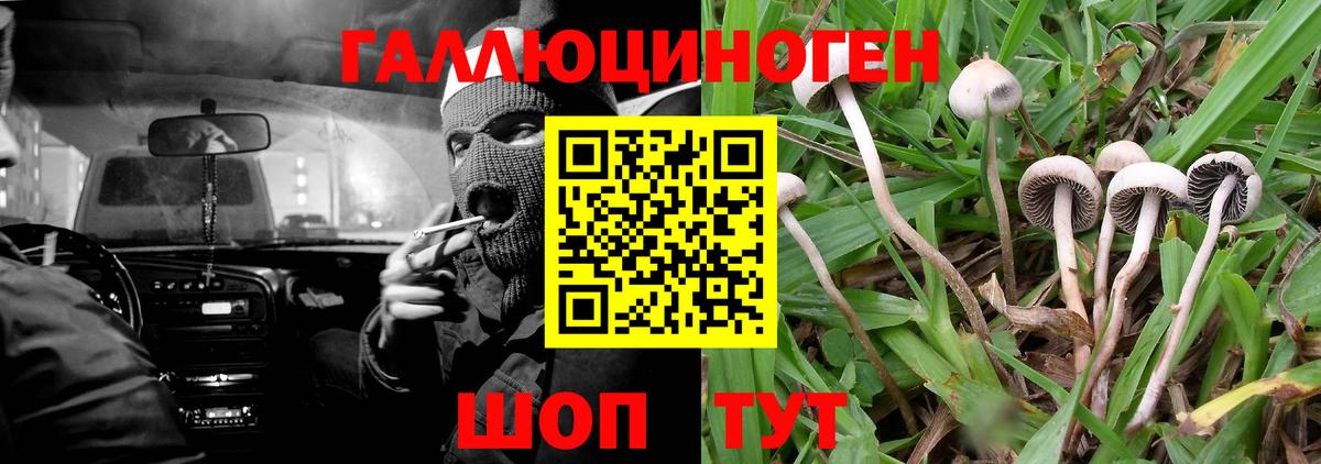 Псилоцибиновые грибы мицелий  Вход с VPN  Комсомольск-на-Амуре 